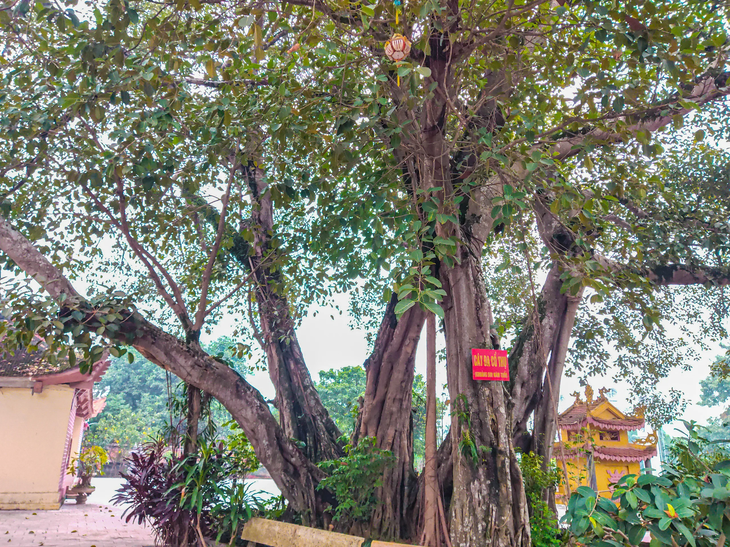 KHÔNG GIAN TÂM LINH